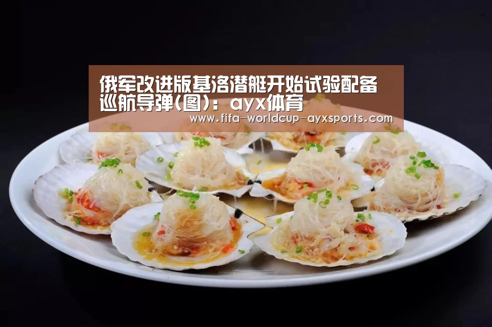 俄军改进版基洛潜艇开始试验配备巡航导弹(图):ayx体育(图3) 爱游戏官网