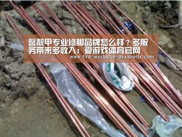 馨靓甲专业修脚品牌怎么样?多服务带来多收入:爱游戏体育官网(图1) 爱游戏官网