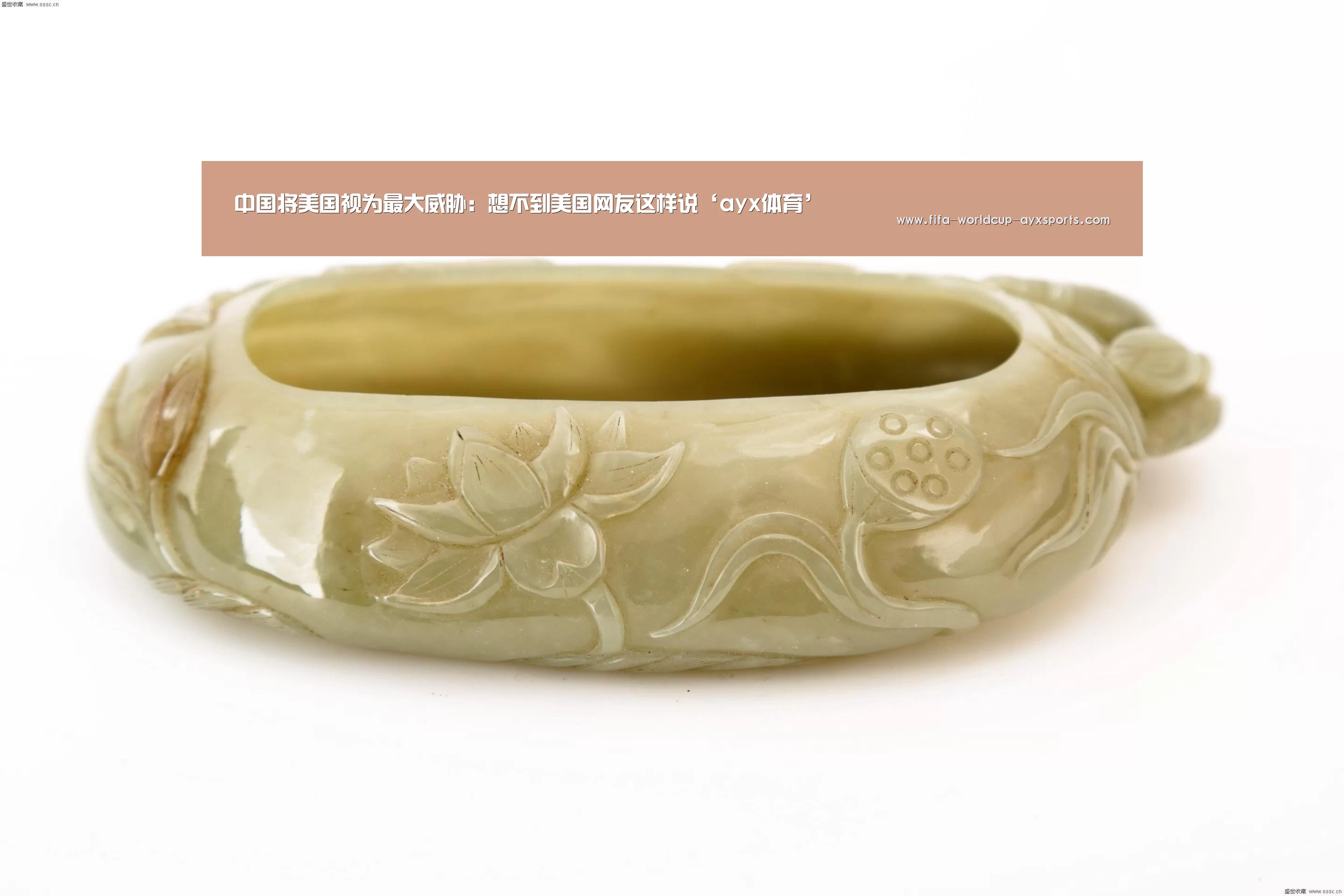 中国将美国视为最大威胁:想不到美国网友这样说‘ayx体育’(图3) 爱游戏官网