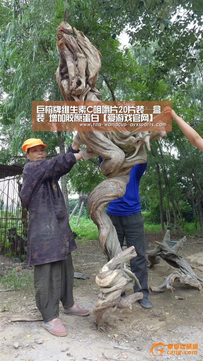 爱游戏体育直播